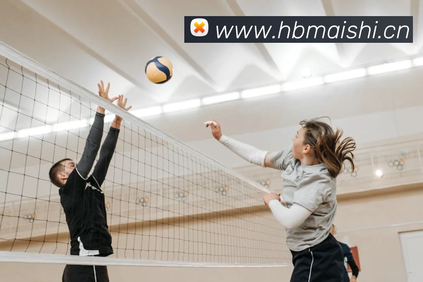 环球官方网站平台生态图